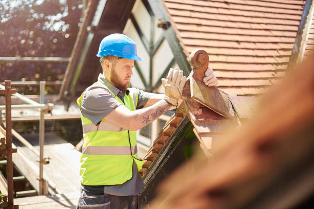 Best Roof Maintenance Services  in Yoncalla, OR